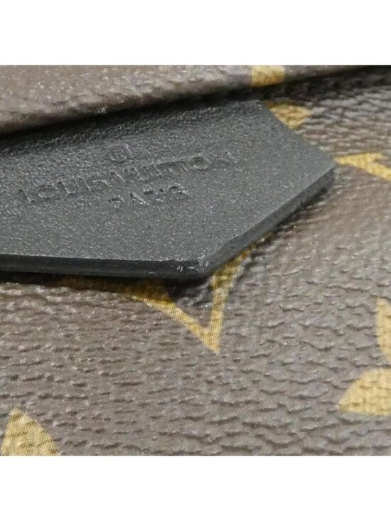 Louis Vuitton Monogram Palm Spring Backpack MM Sac main image 4